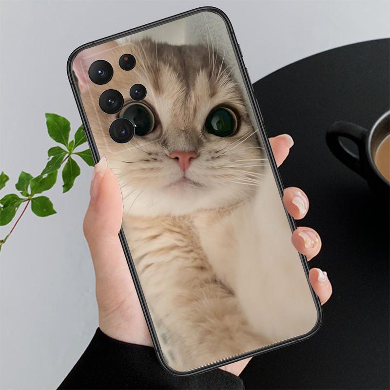 Phone Case For Samsung A17 A55 A16 A56 A35 A15 A53 A54 A33 A34 A25 A05S A52 A52S A07 A26 A06 Cute Cats