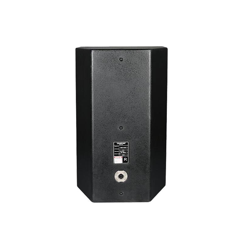 Takstar 12-inch Full-Range Professional Speaker