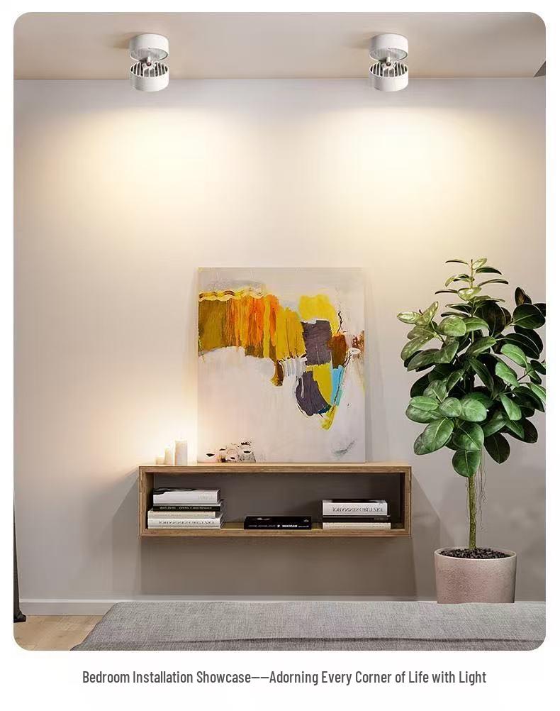 Adjustable LED Double-Head Smart Ceiling Spotlight for Living Room and Aisle