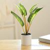 Fake Flowers And Leaves Green Plant Bonsai Creative Indoor Simulation Flower Artificial Plant Simulation Pot