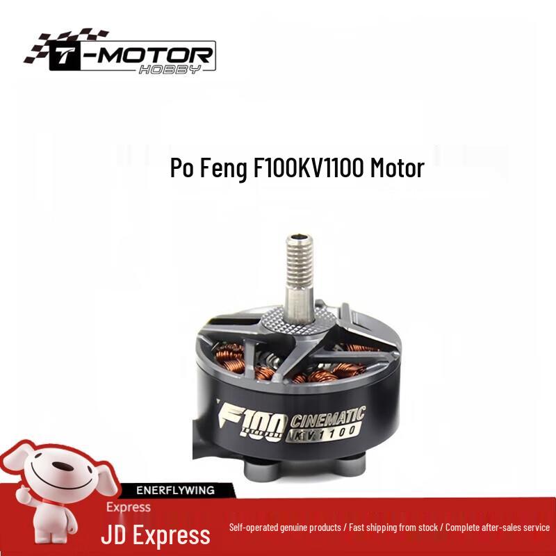 T-MOTOR F100 KV1100 Drone Motor