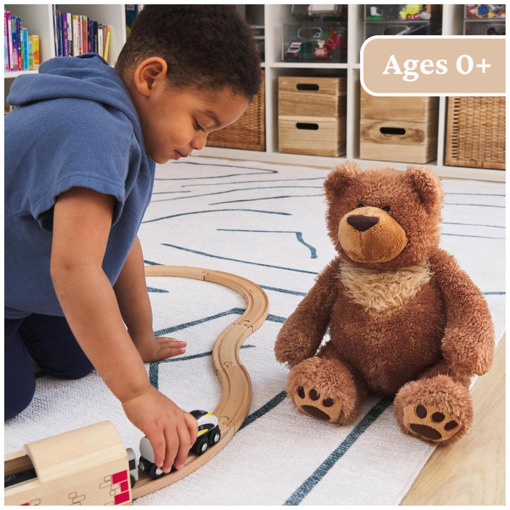 GUND Slumbers Bear 6047649