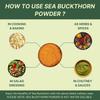 Nutrabud Sea Buckthorn Berry Powder Pure Himalayan Fruit Supplement For Daily Wellness And Nutritional Support 100g Pack