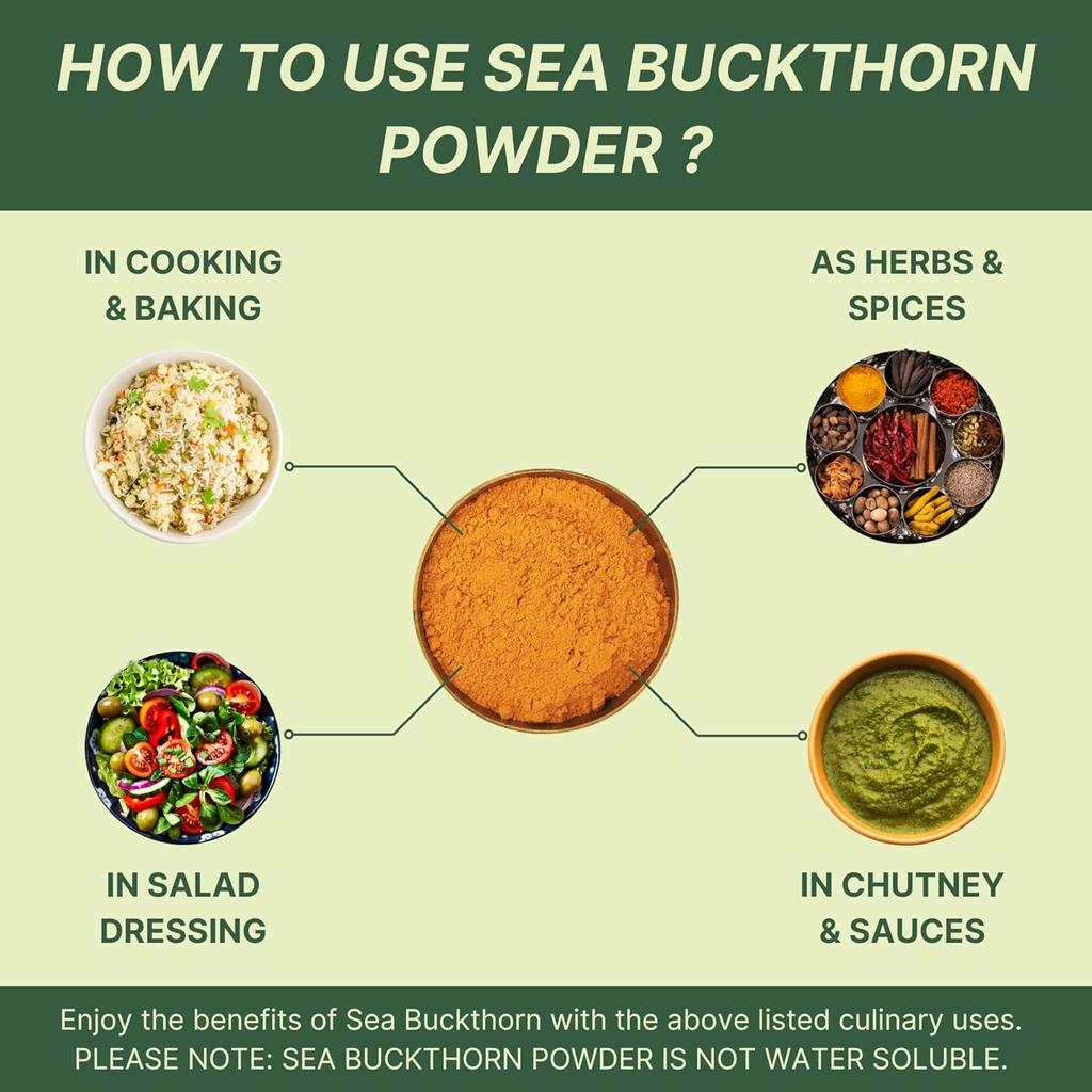 Nutrabud Sea Buckthorn Berry Powder Pure Himalayan Fruit Supplement For Daily Wellness And Nutritional Support 100g Pack