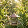 Iron Automatic Bird Feeder Retractable Bird Food Container Hummingbird Feeder  Porch