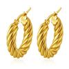 Classic Fashion Round Stainless Steel Twist Hoop Earrings For Women 4.5mm Thick Ear Buckle Gold Copper Color Earrings Zircon