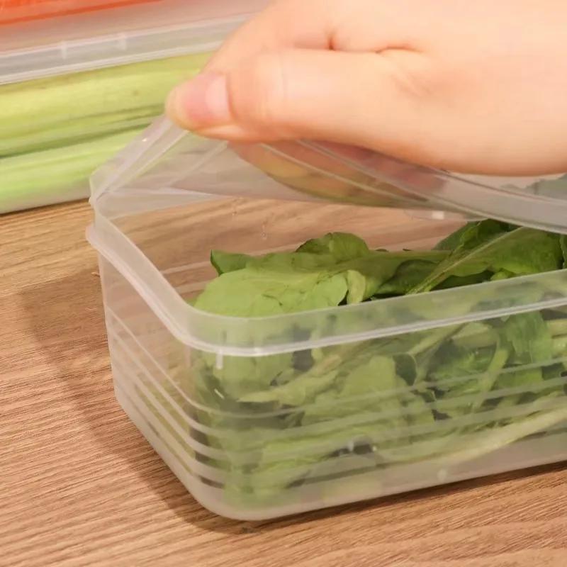 Refrigerator Fresh-keeping Organizer Boxes Vegetable Fruit Fresh-keeping Food Preservation Boxes Transparent Sealed Storage Box