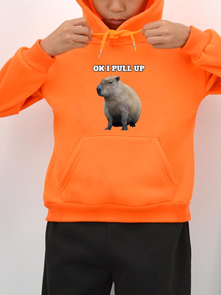 Mikiny Capybara Potisk anime mikina s kapucí Podzimní mikiny dětské oblečení dívky oblečení pro chlapce y2k sudadera Pulovr Dětské oblečení