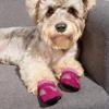4pcs/set Soft-soled Dog Shoes Mesh Pet Sandals New Poodle Dog Shoes  for Small Dogs Puppies