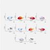 10Pcs DIY Decorative Goldfish Figurines Home Decor Dollhouse Miniature Model Fish Carp Simulation Animals Kids Toys