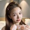 Side Barrettes Braided Hair Clip Korean Style Bangs Clip Elegant Duckbill Clip  Streetwear