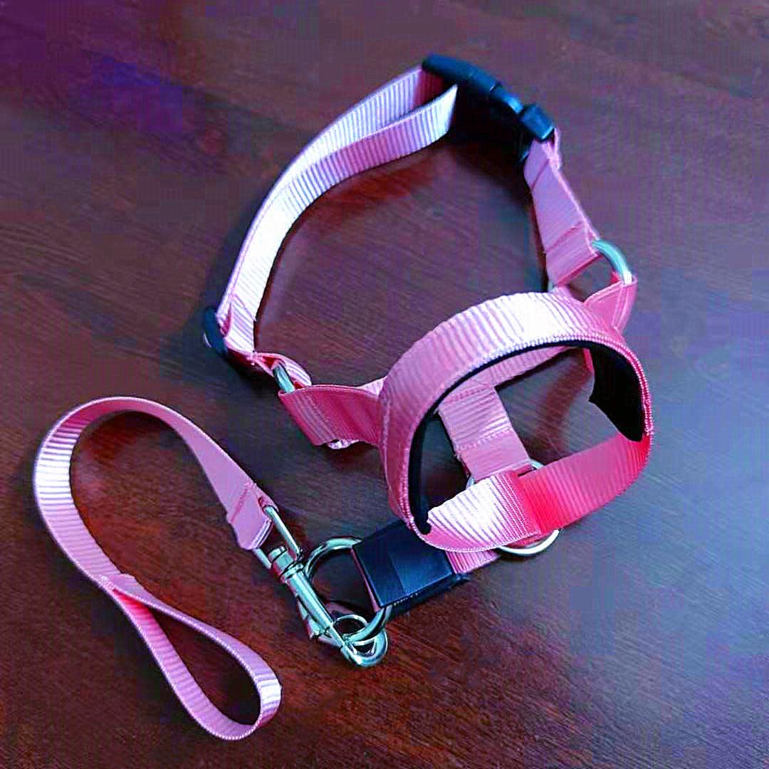 

Dog Muzzle | Anti-Bite & Anti-Ingestion | Pet Supplies in Stock Small розовый