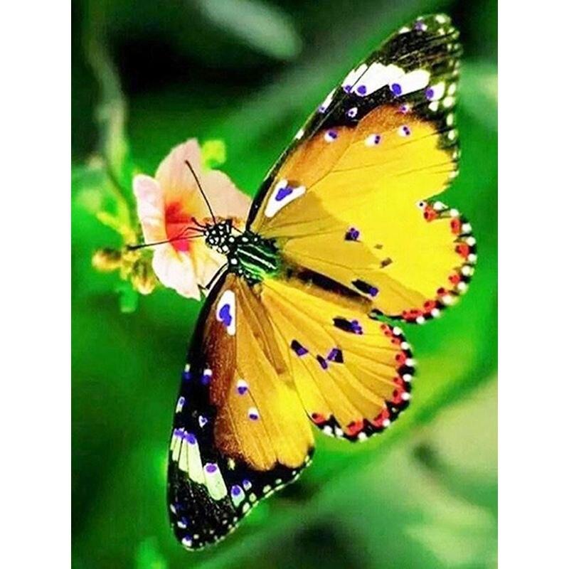 Diamond Painting Full Round Butterfly For Kids 5D Diy Diamond Embroidery Sale Animal Mosaic Handicraft