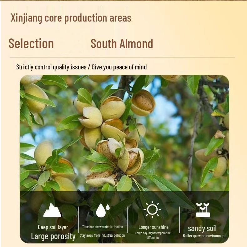 500g Large Grain Almonds - Original Flavor, Free Shipping, New Arrivals