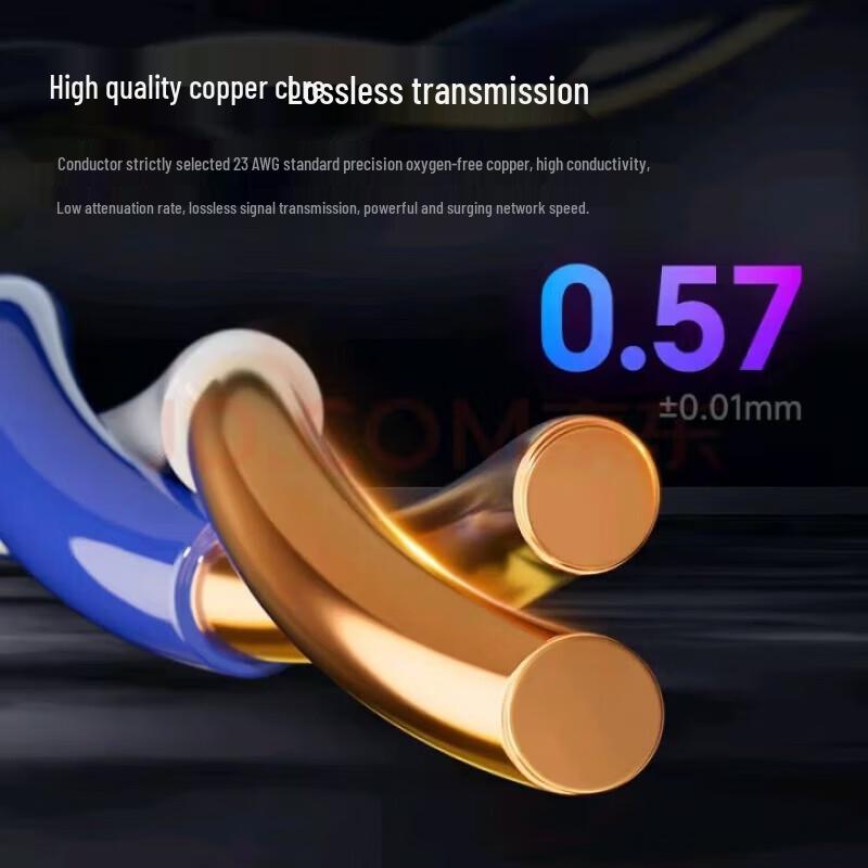 YouPuGuang Shielded Cat6a Ethernet Cable