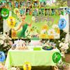Cartoon Birthday Decors, Cartoon Party Decors & Cartoon Party Tableware - Cartoon Theme Birthday Backdrop Banner Balloon Plate Tablecloth