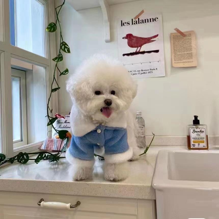 Cat And Dog Pet Clothes Winter Thickened Warm Hairy Schnauzer Than Bear Teddy Shiba Dog Medium Coat Cotton Clothes