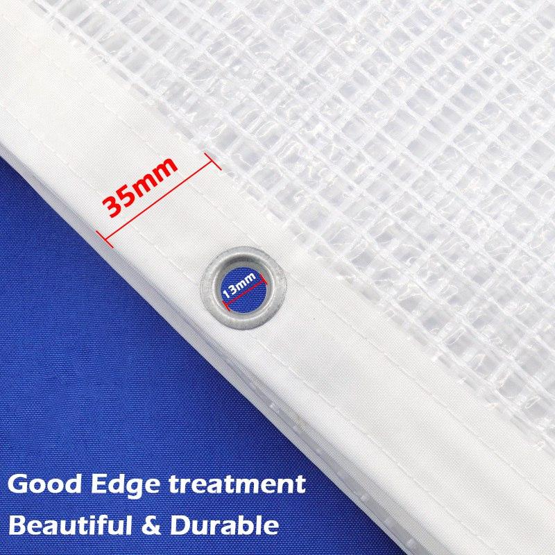 0,33MM Transparente PE-Plane Gartenpflanzen-Schutzhaus Warmhalten Gitter Regendichtes Tuch Balkonfenster Regenschutz Wasserdichte Markise
