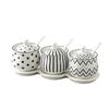 Ceramic Spice Jar Set Home Kitchen Salt Pepper Oil Chili Container Combo