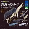 Genuine T-ARTS The Secrets of The Deep Sea Marine Life Sperm Whale Battles Giant Squid Capsule Toys Ornament