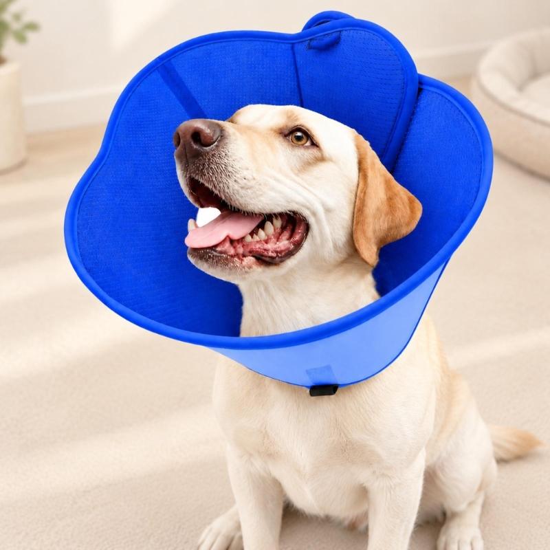 Pet Recovery Collar with Bounded Edges, Wearable Barrier for Care and After-Grooming Pet Recovery, Lick Proof Design