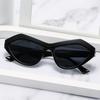 Sunglasses, Trendy Cat Eye Sunglasses For Women, Triangular Sunglasses 9119