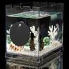 Floating Betta Exercise Mirror Dia.  Floating Round Mirror Fish Tank Antidepressant Betta Training Mirror