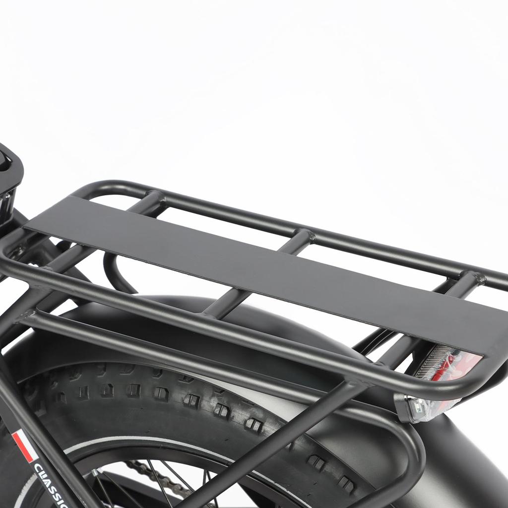 BAOLUJIE DZ-2030 Electric Bike 20*4.0'' Inch Tires 500W Motor 48V16AH Battery Max Speed 40KM/H Mechanical Disc Brakes