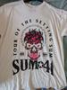 Vintage SUM 41 Tour of the setting 2024 T-Shirt Klassisch TU134 Unisex T-Shirt
