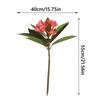 Real Touch Artificial Plumeria Flowers DIY with Green Leaves Simulation Frangipani Branch Long Stems Multicolor