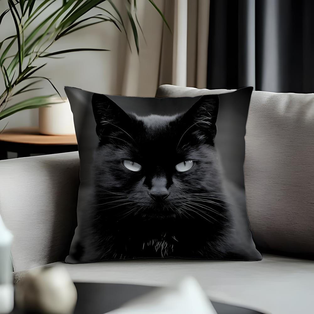 Trending BBlack Catead Cushion Cover Antidustmite Pillowcase Invisible Zipper Silky Short Plush Sofa Cushion Cover