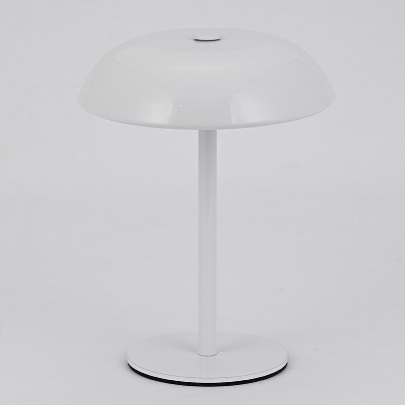 Nordic Minimalist Metal Touch Desk Lamp with USB Charging