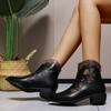 Fashion Women's Thick Heel Cotton Boots New Winter Pointy Back Zipper Embroidery Anti-slip Wear-resistant Short Boots