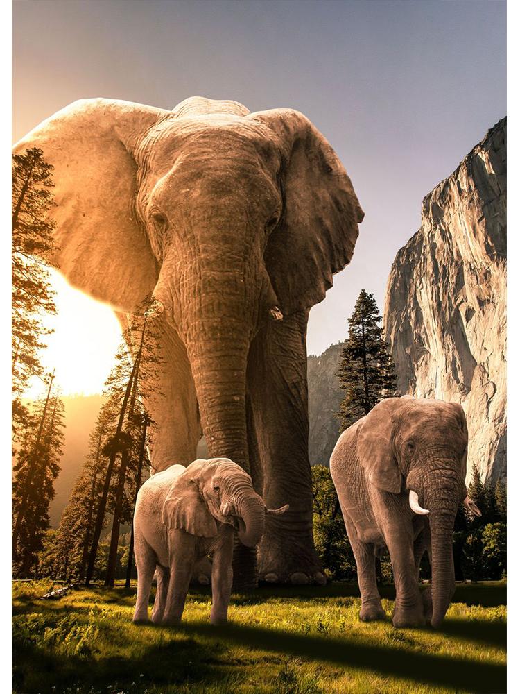 Wildlife Elephant Family Posters Canvas Painting Animal Father Mother Baby Love Wall Art Picture For Modern Room Home Decoration