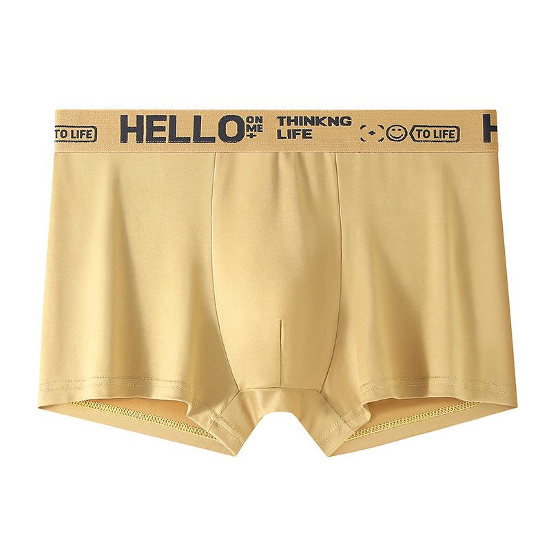 Large Size Men Spring Summer New Youth Middle Waist Flat Angle Underwear