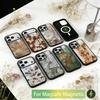Retro Rost Design Handyhülle Für iPhone17,16,15,14,13,12,11 Plus,Pro Magnetisch Für Magsafe Kabelloses Laden