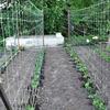 Heavy-Duty Polyester Garden Trellis Netting, Square Mesh - Durable, Easy-to-Use Plant Support for Climbing Plants