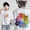 Summer New Arrival One Piece Pattern Tshirt unisex anime print casual shortsleeved fashionable streetwear top Y2K style