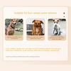 4 Wheels Dog Wheelchair for Pets Training Hindlimb Wheelchairs Upgraded Retractable Cat Hindleg Assist Car Paralyzed Driving Aid