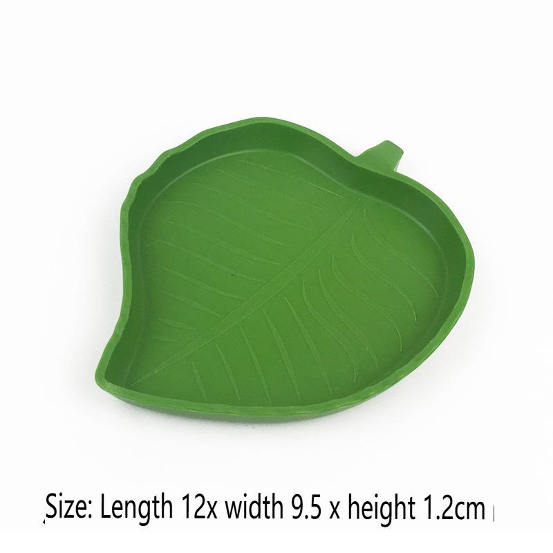 Reptile Feeding Dish for Leaf-Eating, Bowl for Terrarium