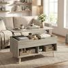 Lift-Top Coffee Table, Hidden Compartment, Open Shelves, 75 x 40 x 58 cm, Natural Wood