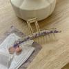 Elegant Oversized Retro Acetate Hairpin: Exquisite Korean Shark Clip for Women