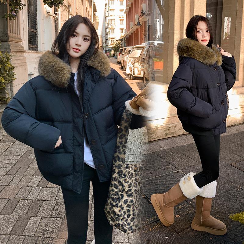 2025 winter new Korean version down cotton-padded clothes women's loose cotton-padded clothes casual short large fur collar thickened cotton-padded