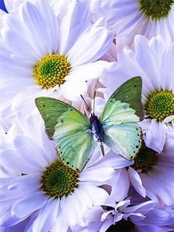 5D Diamond Painting Butterfly Cross Stitch Kit Full Drill Diamond Embroidery Flower Mosaic Daisy Rhinestone Handmade Gift