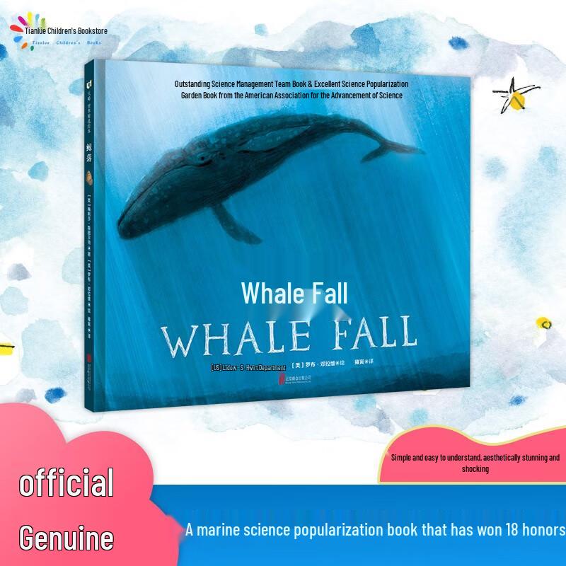 Whale Fall Phenomenon