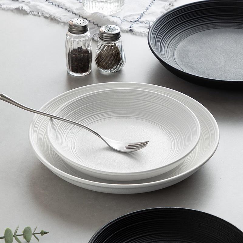 ZISIZ Frosted Dinner Plate