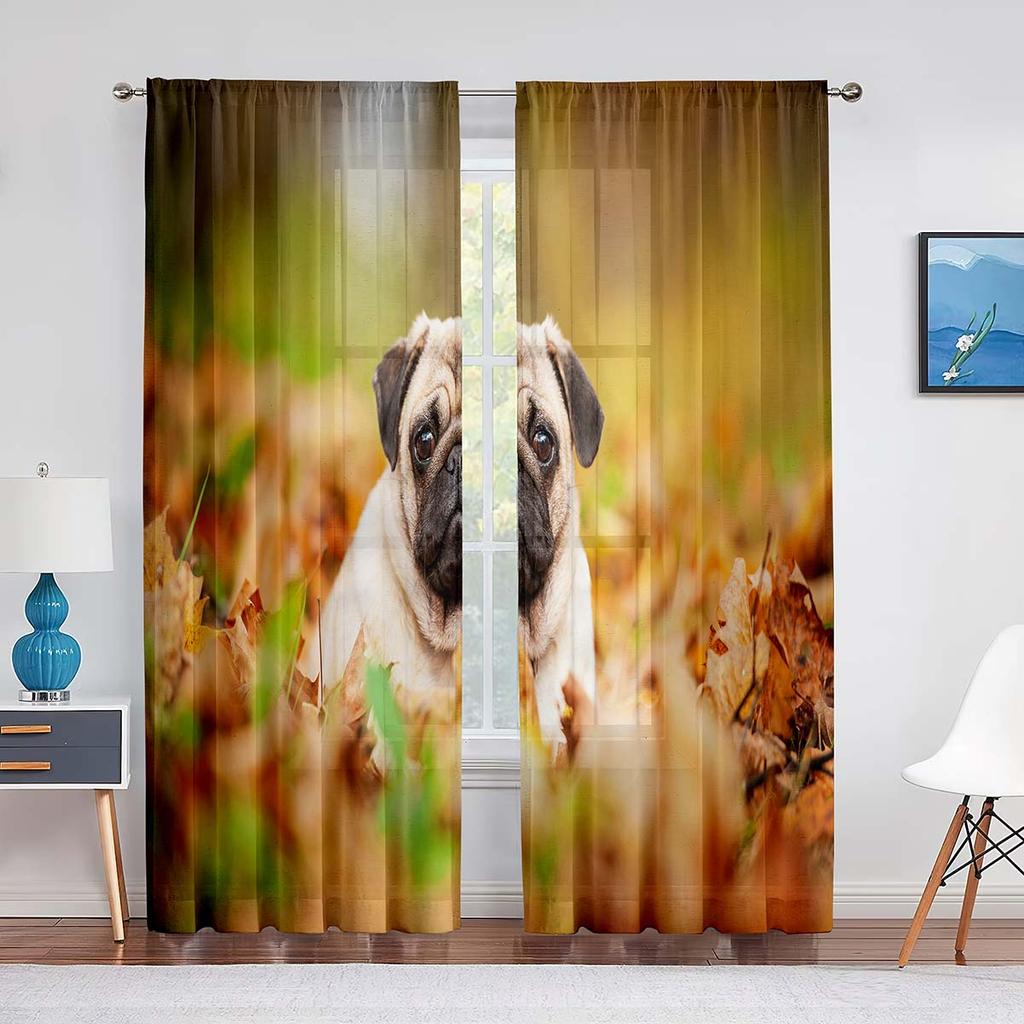 Cute Puppy Pug Dog Twins Tulle Curtains for Living Room Bedroom Home Kitchen Animals Window Sheer Voile Curtains Chiffon Drapes