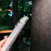 Acrylic Anti-Drop Phone Case for iPhone 17/16 Pro with Laser Heart Design