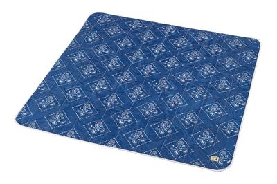 Captain Stag Leisure Sheet Mat Cushion Sheet 145 X 145 Cm with Storage Bag Navy Progre (CAPTAIN STAG) UB-3049