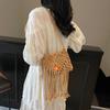 New Straw Floral Decor Bag Bohemian Tassel Beach Bag Women Crochet Fringed Crossbody Ultralight Shoulder Bag